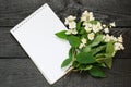 Medicinal plant philadelphus mock-orange and notebook Royalty Free Stock Photo