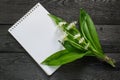 Medicinal plant ramson allium ursinum and notebook Royalty Free Stock Photo