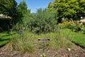 Medicinal plants for blood disease, Oxford botanical gardens Royalty Free Stock Photo