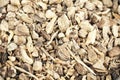 Medicinal root of elecampane Royalty Free Stock Photo
