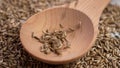Medicinal seeds of dried milk thistle plant falling into a wooden spoon. A source of healing silymarin for liver problems.