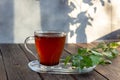 Medicinal tea made from birch chaga is used in folk medicine.