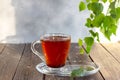 Medicinal tea made from birch chaga is used in folk medicine.