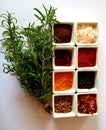 Medicinal whole Herbs Ground Spices Royalty Free Stock Photo