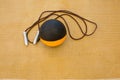 Medicine ball with jumprope Royalty Free Stock Photo