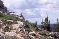 Medicine Bow Mountains June 2022. Wild flowers, rocks, grass and trees. Royalty Free Stock Photo