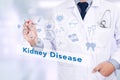 Medicine doctor hand working, Kidney Disease