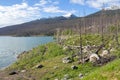 Medicine Lake, Jasper National Park, Canadian Rockies, Canada Royalty Free Stock Photo