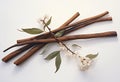 Aromatherapy vanilla jasmine oil treatment beauty healthy nature aroma spa herbal