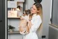 medicine, pet care and people concept - close up of french bulldog dog and veterinarian doctor hand at vet clinic Royalty Free Stock Photo