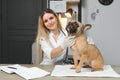 medicine, pet care and people concept - close up of french bulldog dog and veterinarian doctor hand at vet clinic Royalty Free Stock Photo