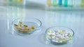 Medicine pills lying in petri dishes on lab table, pharmaceutical industry Royalty Free Stock Photo