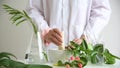 Medicine preparation formulating, Pharmacist grinding and mixing natural herb extract in mortar.