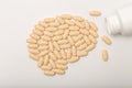 Medicines and pills for the brain and the prevention of mental illness. Alzheimer's, dementia, antipsychotics