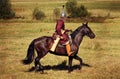 Medieval armored knight on horse from fantasy. Equestrian soldier in historical costume is in the field
