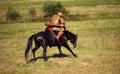 Medieval armored rider on horse. Equestrian soldier in historical costume