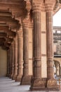 Medieval Artwork in Amber Fort Royalty Free Stock Photo