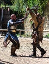 The Show: The Legend of Knights in Provins, France