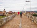 Medieval bridge - Hospital de Orbigo