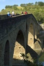 Medieval bridge, pilgrims and river Arga, Spain