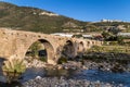 Medieval bridge, Taggia, Italy Royalty Free Stock Photo