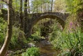 Medieval Bridge in Tris Elies in Troodos, Cyprus