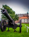 Medieval cannon Royalty Free Stock Photo