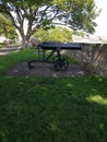 Medieval cannon on Berwick town walls