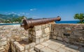 Medieval cannon gun