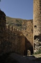 Medieval castle in Georgia. Stone walls, towers. Local precious architecture heritage.