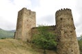 Medieval castle in Georgia. Stone walls, towers. Local precious architecture heritage.