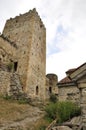 Medieval castle in Georgia. Stone walls, towers. Local precious architecture heritage.