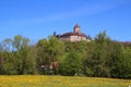 Medieval castle Reichenberg over yellow blooming field of Ranunculus flowers in Baden-WÃÂ¼rttemberg, Germany