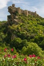 Medieval castle of Roccascalegna with pink flower