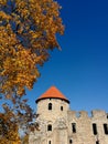 Medieval castle ruins with a red tile roof that stands behind the fall tree. Royalty Free Stock Photo