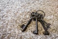 Medieval castle skeleton door keys Royalty Free Stock Photo