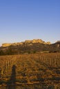 Medieval castle and village, Les Baux-de-Provence, Alpilles mountains, Provence, France