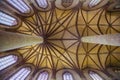 Medieval ceiling in french cathedral Royalty Free Stock Photo