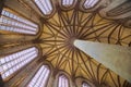 Medieval ceiling in french cathedral Royalty Free Stock Photo