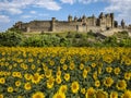 Medieval Citadel of Carcassonne - France