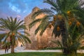 Medieval city walls of the medina of Sousse in the evening among palm trees, Tunisia.