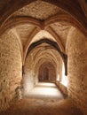 Medieval cloister with vaulted arches