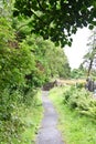 Medieval County Graveyard, Glendalough, county Wicklow, Ireland