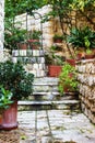 The medieval courtyard with flowers