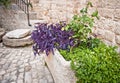 Medieval Courtyard, Trogir, Croatia