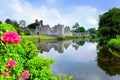 Medieval Desmond Castle, Ireland with reflections and flowers, Adare, County Limerick