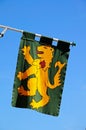 Medieval flag with rampant lion, Tewkesbury.