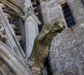 Medieval gargoyle of the Saint-Nazar basilica,Carcassonne,France, Languedoc-Roussillon Royalty Free Stock Photo