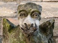 Medieval gargoyle on a stone church wall