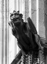 Medieval gargoyle on york minster england Royalty Free Stock Photo